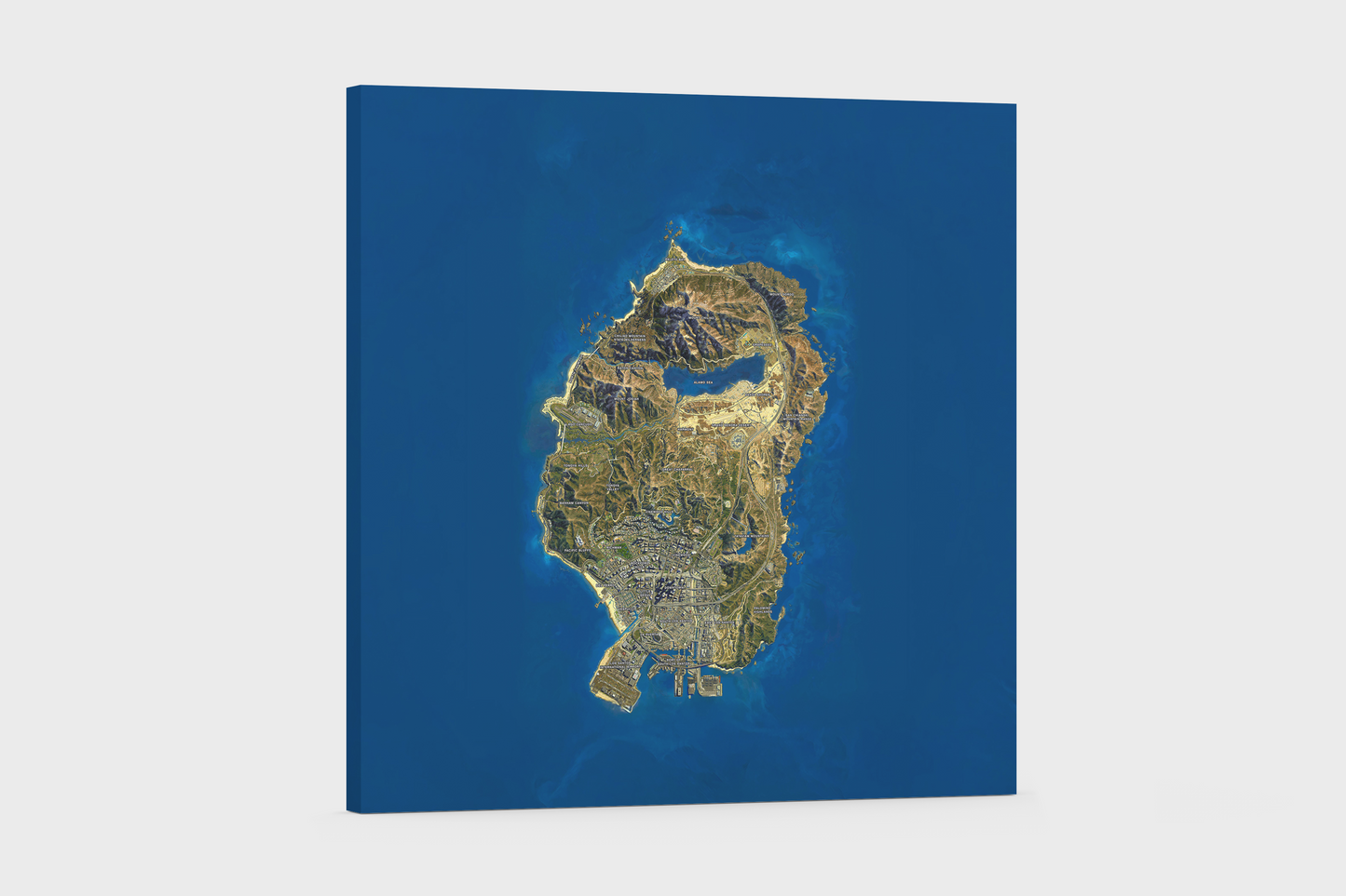 CARTE - GTA V ⭐⭐⭐⭐⭐(121)